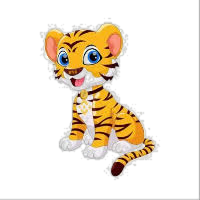 BNBTiger